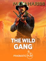 The Wild Gang